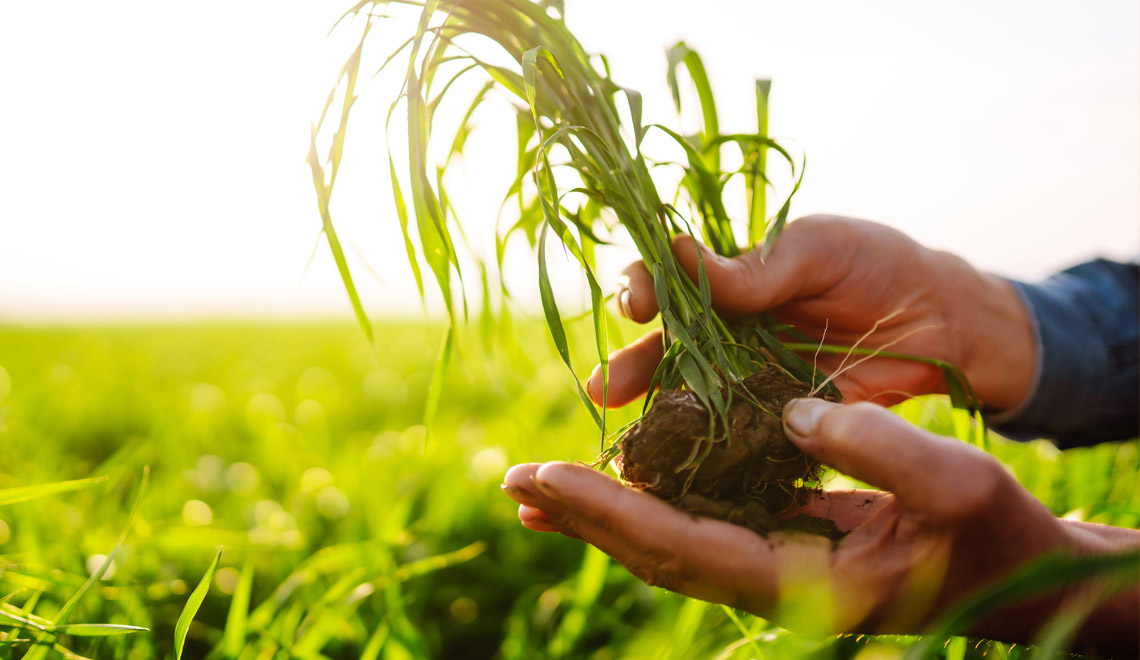 Conséquences écologiques des aliments ultra-transformés