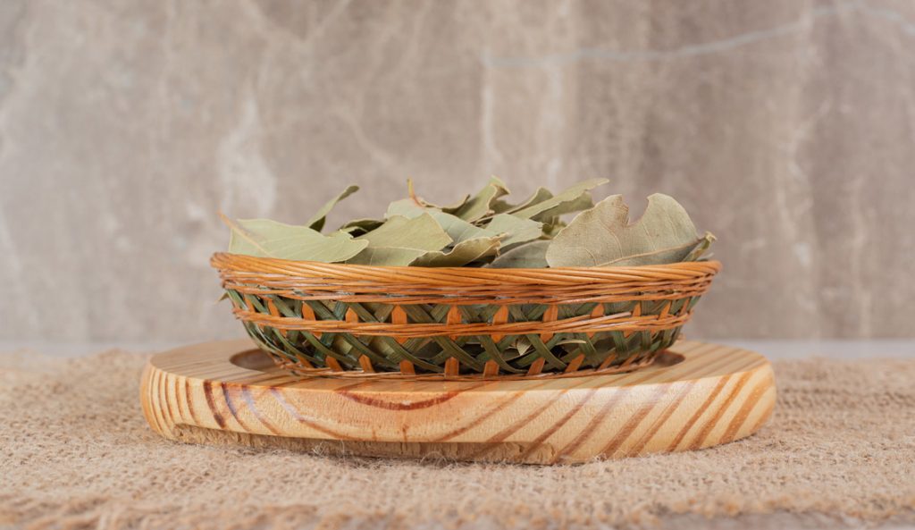 Les bienfaits de la sauge