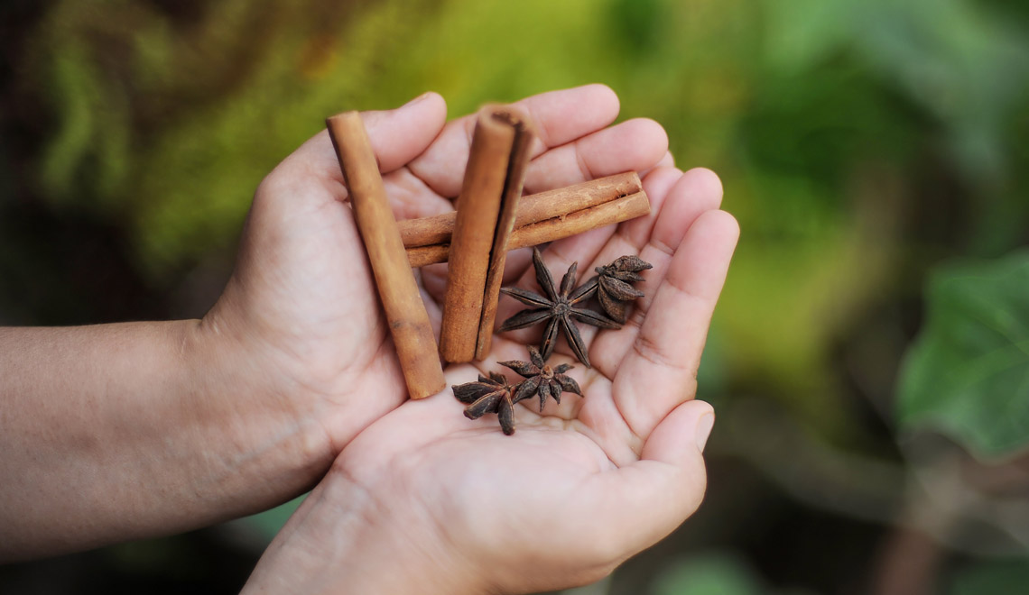 La cannelle : les variétés et les bienfaits de cette épice