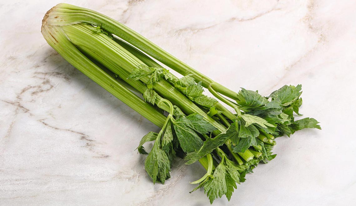 Les avantages du céleri : un allié détox et santé