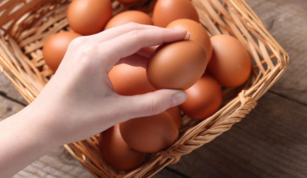 Combien peut-on manger d’œufs par jour ou par semaine ?