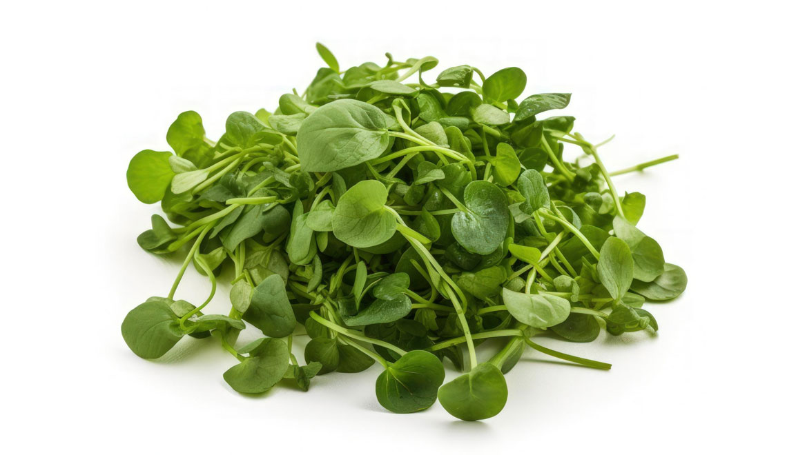 Le cresson : votre allié détox et vitalité