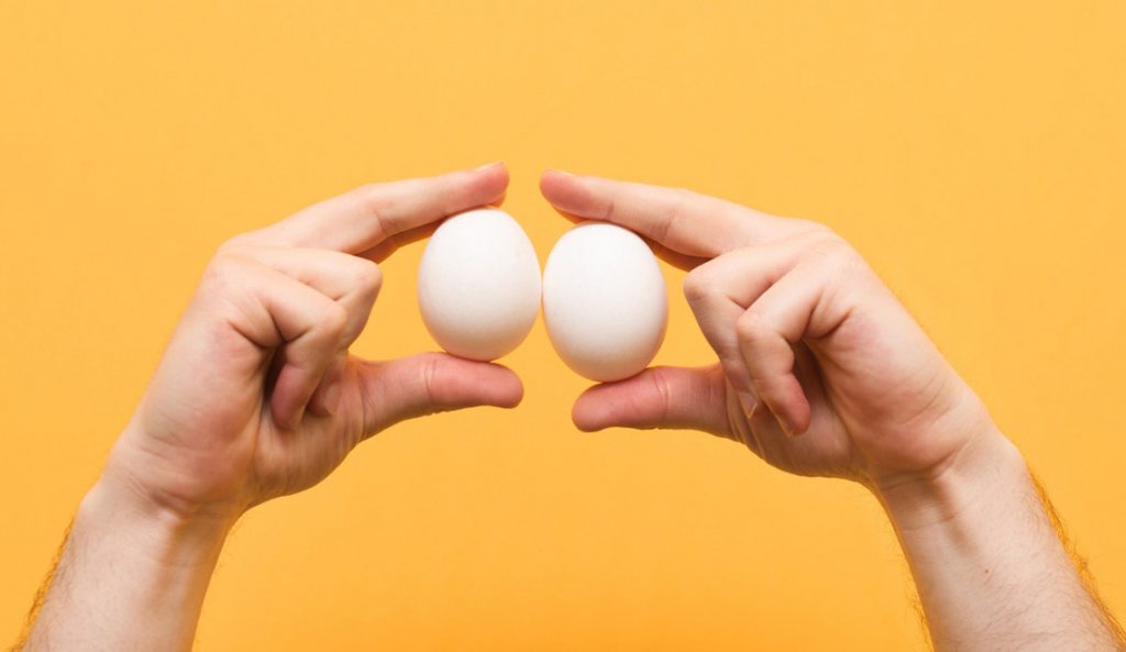 Les œufs et leur mauvaise réputation