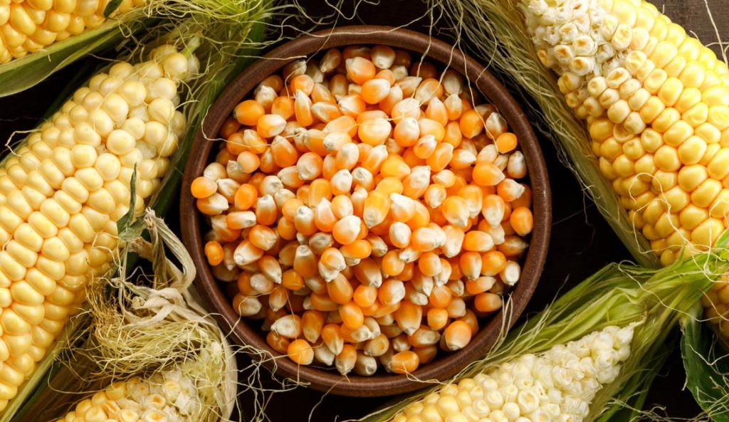 Pourquoi et comment consommer du maïs ?
