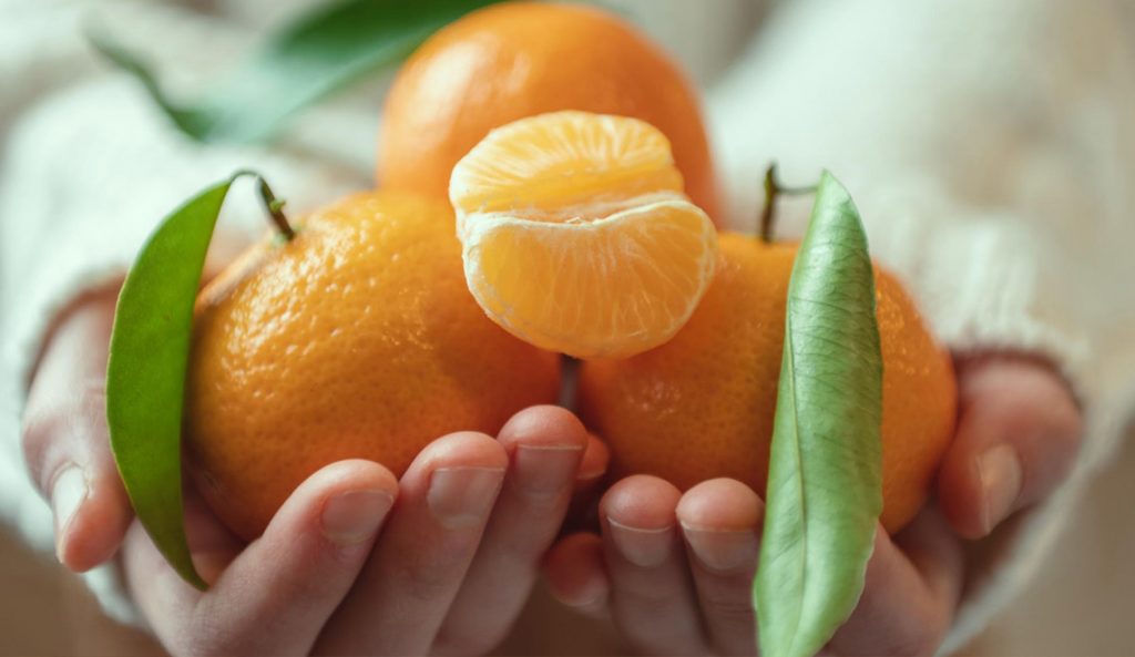 Quelle est la différence entre les mandarines et les clémentines ?