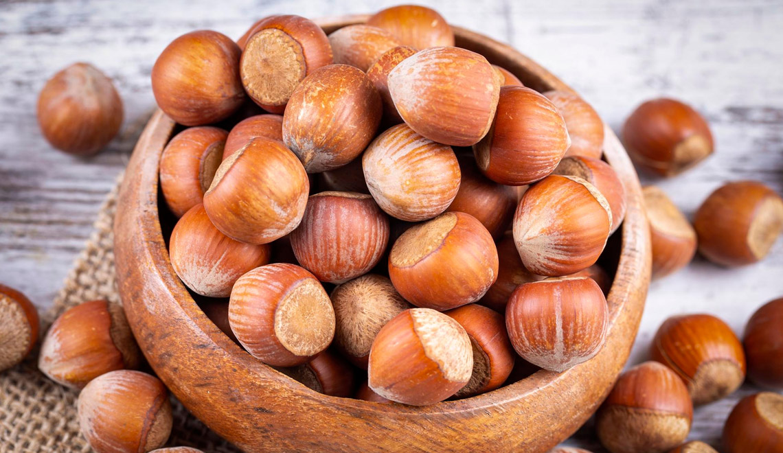 Les noisettes et leurs vertus