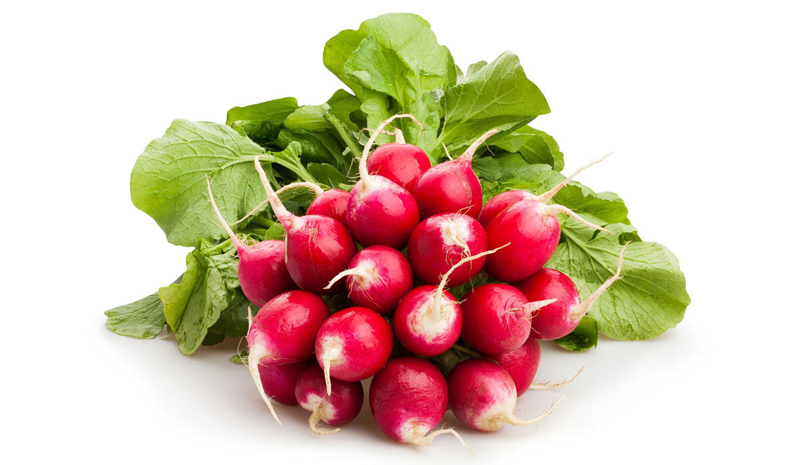 Le radis : le légume croquant aux mille vertus