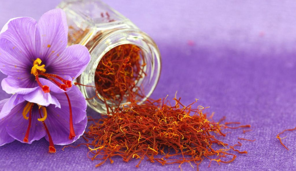 Le safran : histoire, vertus et usage culinaire