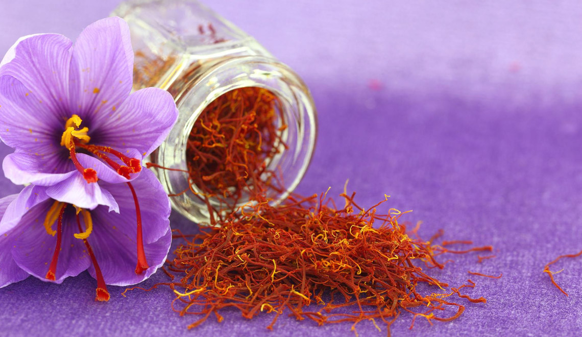Le safran : histoire, vertus et usage culinaire