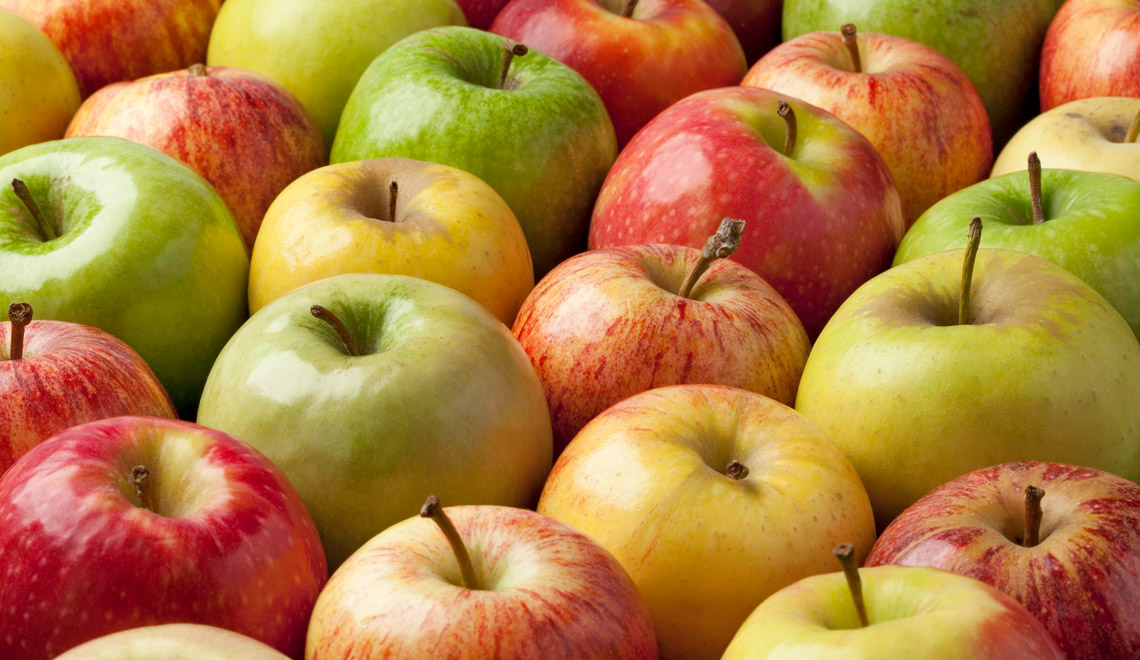 Guide complet des différentes variétés de pommes