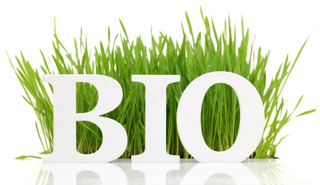 Faut-il manger bio pour être en bonne santé ?