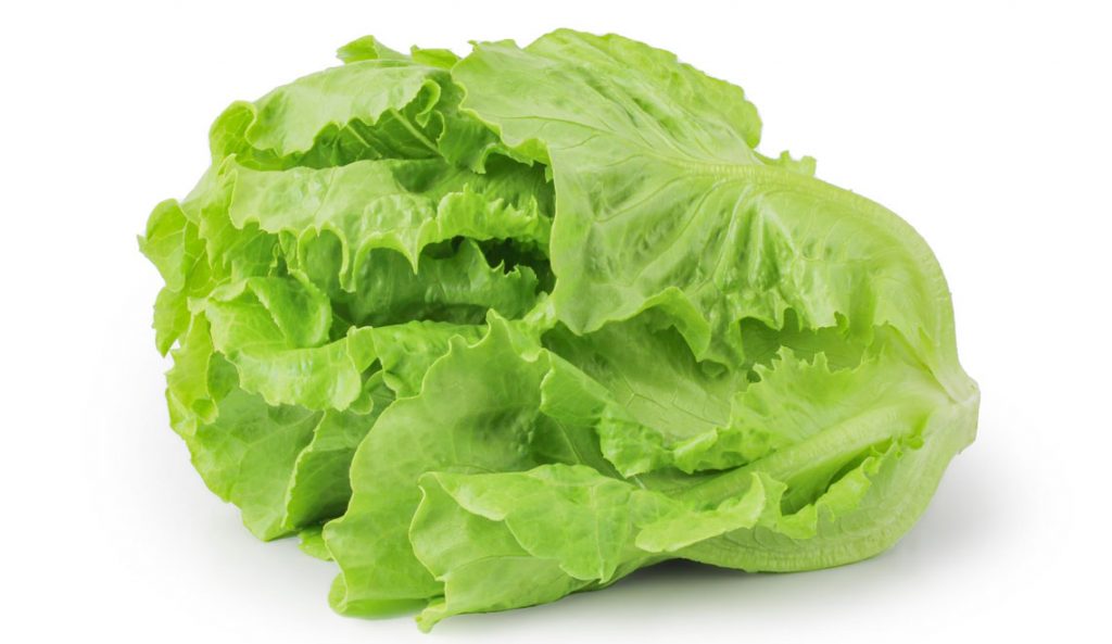 La laitue et ses bienfaits
