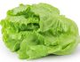 La laitue et ses bienfaits