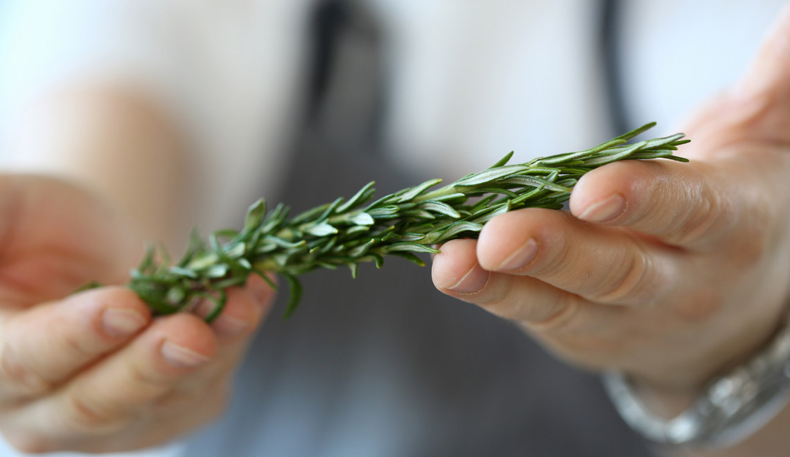 Le Guide de la Conservation des Herbes Aromatiques