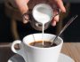 Café noir ou café au lait : que choisir ?
