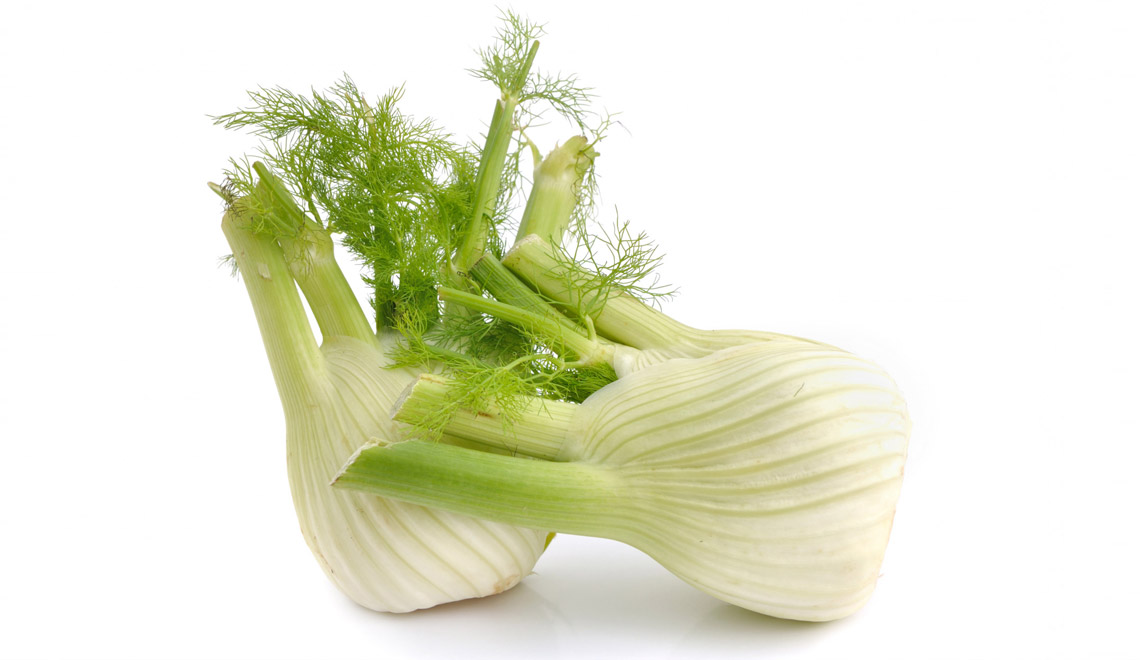 Le fenouil et la digestion. Bienfaits et usages.