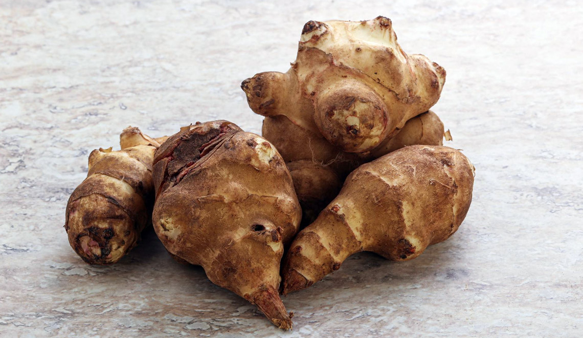 Le topinambour : redécouvrez ce légume ancien