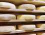 L’affinage du fromage : secrets et techniques