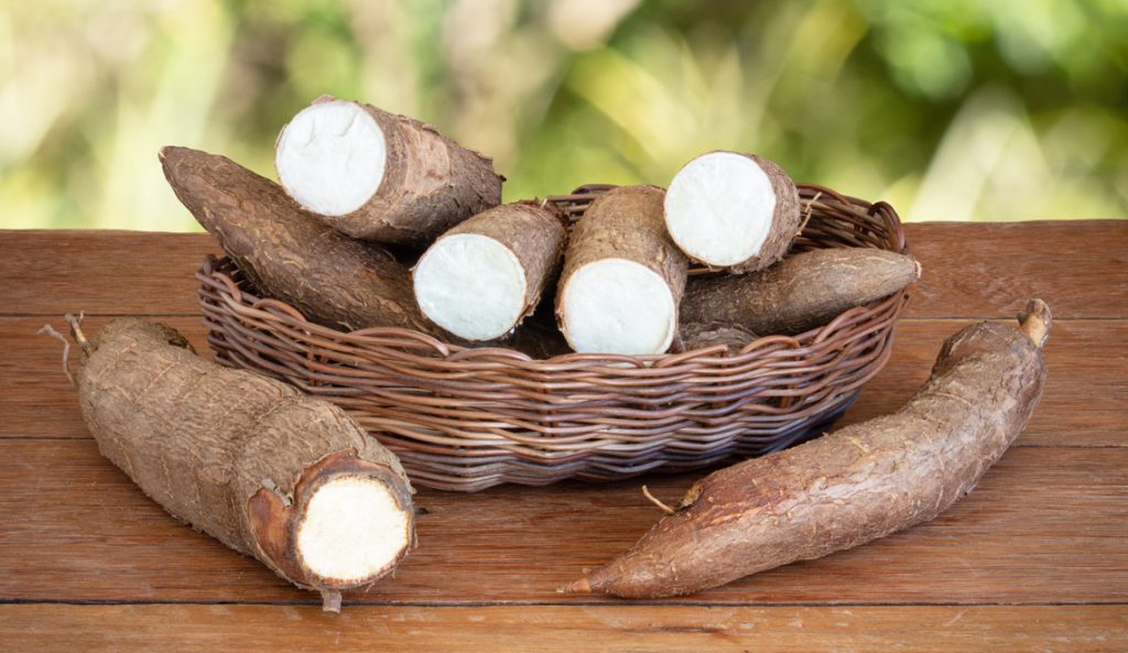 Les bienfaits du manioc pour votre santé