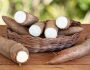 Les bienfaits du manioc pour votre santé