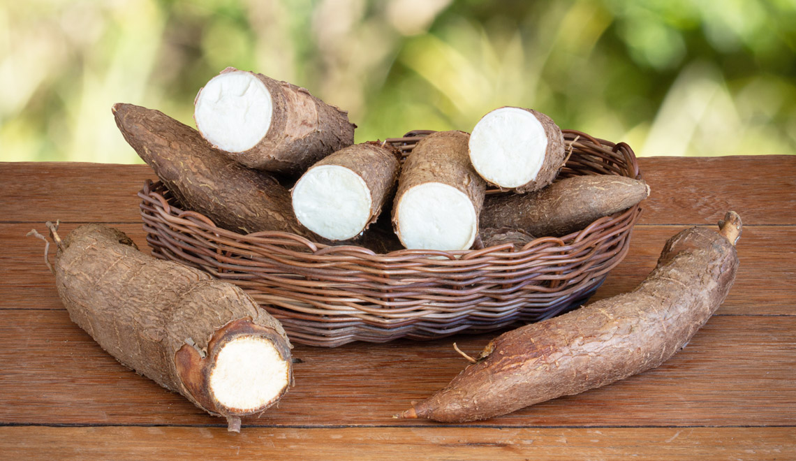 Les bienfaits du manioc pour votre santé