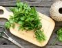 Tout savoir sur les bienfaits du persil